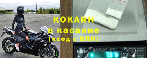 шишки Армянск