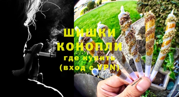 шишки Армянск