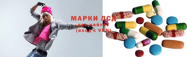 гашик Арсеньев