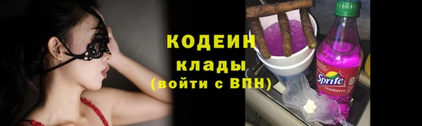 гашик Арсеньев