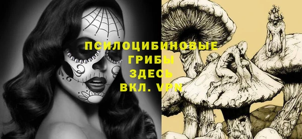 jwh Аркадак