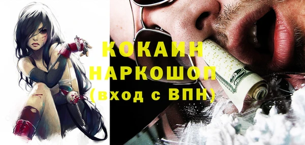 гашик Арсеньев