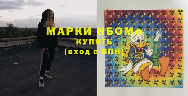 прущие грибы Михайлов
