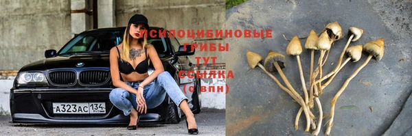 jwh Аркадак