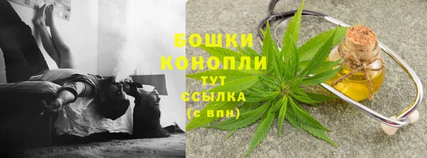 шишки Армянск