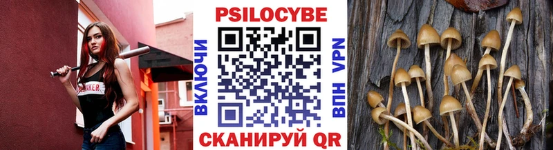Псилоцибиновые грибы Psilocybine cubensis  где найти   Мытищи 